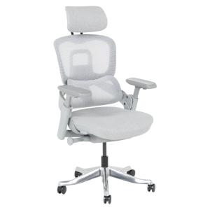 Ергономичен офис стол METZ в сиво