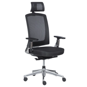 Ергономичен офис стол ALBI в черно