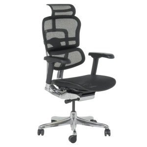 Ергономичен офис стол Ergohuman Elite 2 в черно