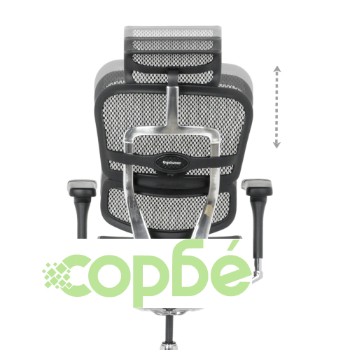 Ергономичен офис стол Ergohuman Elite 2 в черно ➤ топ цена ➤ sorbe.bg