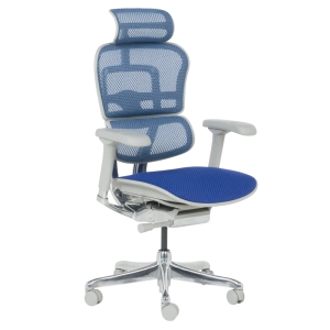 Ергономичен Офис Стол ERGOHUMAN ELITE 2 - Син с Сива Рамка