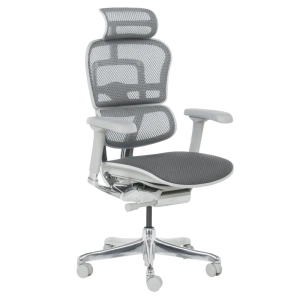 Ергономичен Офис Стол ERGOHUMAN ELITE 2 - Сива Рамка