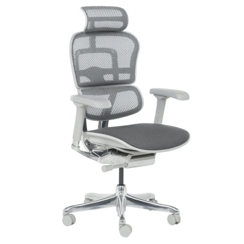 Ергономичен Офис Стол ERGOHUMAN ELITE 2 - Сива Рамка ➤ топ цена ➤ sorbe.bg