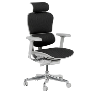 Елитен ергономичен стол ERGOHUMAN 2 - Черен, сива рамка