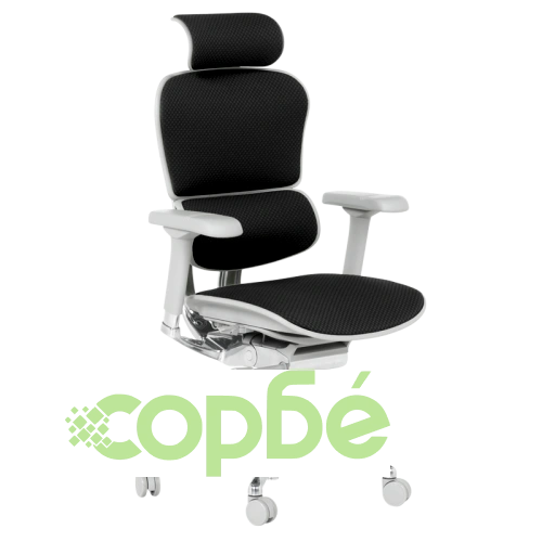 Елитен ергономичен стол ERGOHUMAN 2 - Черен, сива рамка ➤ топ цена ➤ sorbe.bg