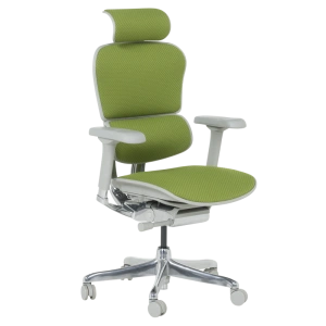 Ергономичен Стол ERGOHUMAN ELITE 2 - Зелен, Сива Рамка