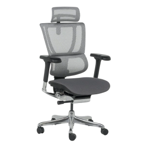 Ергономичен офис стол ERGOHUMAN IOO ELITE 2 - черен и сив