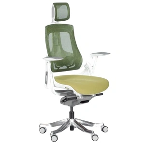 Ергономичен стол AMBRA - зелен