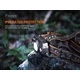 Челник Fenix HP30R V2.0 LED