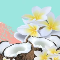 10ml Ароматно масло Кокос и Гардения (Coconut & Monoi)