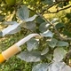 Прашалка ръчна BAZOKA 0.75 куб/см