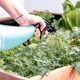 Пулверизатор MATABI GREEN CITY 700 0.7л