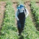Двойна разтягаща дюза 40-70см MATABI