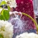 Струйник регулируем с кранче Plus