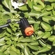 Капкообразувател краен регулируем 0-10л.ч -10 бр. к-т Claber