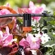 Капкообразувател вътрешен регулируем 0-10л.ч -10 бр. к-т Claber