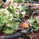 Разпръсквач регулируем Shrubbler -10 бр. к-т Claber