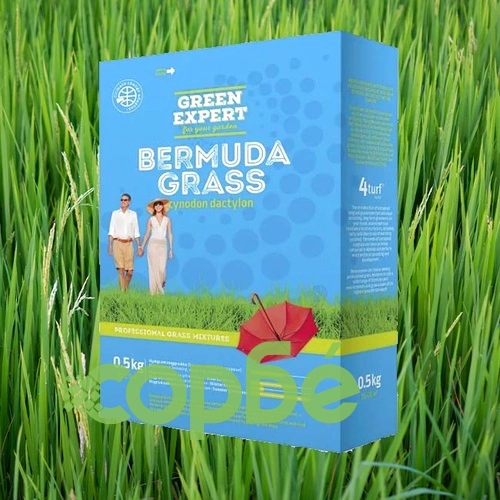 Тревна смеска Бермудска ливада Green Expert ➤ топ цена ➤ sorbe.bg