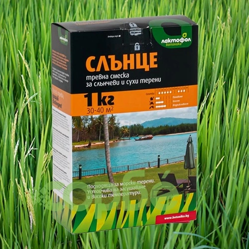 Тревна смеска Слънце 1.0 кг Лактофол за 30-40м2 ➤ топ цена ➤ sorbe.bg