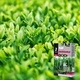 Тор за трева Анти-мъх ефект Лактофол 1кг. 35м2
