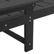 Шезлонги HDPE 2 броя черни 162x53x98.5 см за градина и балкон