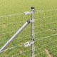 Оградна мрежа с шипове 50 x 0,6 м, поцинкована стомана
