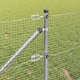 Заварена мрежеста ограда с 13 колчета 0.8x100 м поцинкована стомана