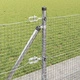 Заваена оградна мрежа с 13 фланцови стълба, 100 x 0,6 м, поцинкована стомана