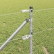 Шестоъгълна ограда с колчета 0.6 x 100 м от поцинкована стомана с PVC покритие