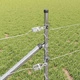 Ограда с колчета сребриста 0.8 x 100 м от PVC покрита стомана