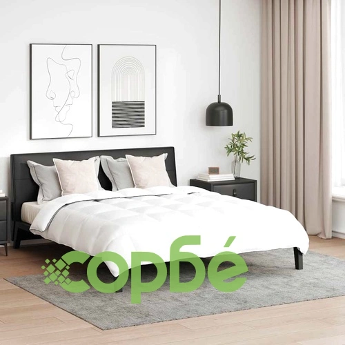 Зимно одеяло с две възглавници от гъши пух - Бяло, 260 х 220 см ➤ топ цена ➤ sorbe.bg