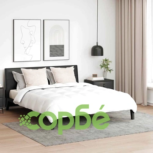 Зимно одеяло с две възглавници от гъши пух - Бяло, 260 x 220 см ➤ топ цена ➤ sorbe.bg