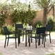 Комплект за хранене в градината 5 части от HDPE черен цвят 80x80x73 см