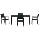 Комплект за хранене в градината 5 части черен HDPE 160x80x73 см