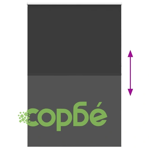 Ролетна щора Blackout, черна, 165x210 см, полиестер, ширина на плата 161,6 см ➤ топ цена ➤ sorbe.bg