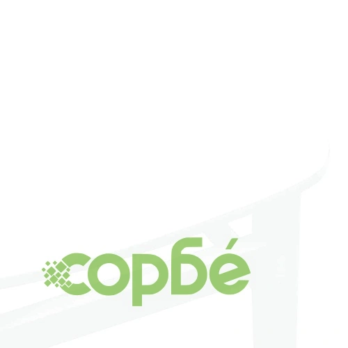 Трапезни столове от масивно каучуково дърво - комплект 2 бр., бели ➤ топ цена ➤ sorbe.bg