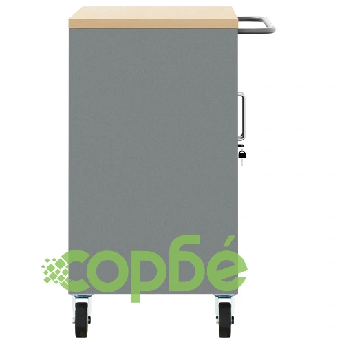 Кабинет за инструменти с колела и заключване - Черен 75x45x85 см Стоманен ➤ топ цена ➤ sorbe.bg