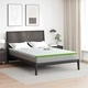 Подложка за матрак Memory Foam 7 зони 160x200 см бяло и зелено