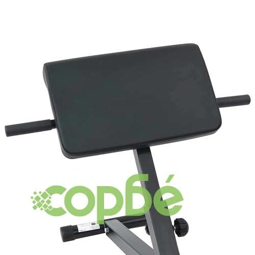 Сгъваема хиперекстензия пейка 120 кг стомана прахово покритие 101x70x71 см ➤ топ цена ➤ sorbe.bg