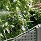 Градинска саксия с напоителна система 3 бр. Черно 120 x 40 x 126 см, ПП