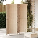 Разделител за стаи от натурален ратан - бежов, сгъваем, висок
