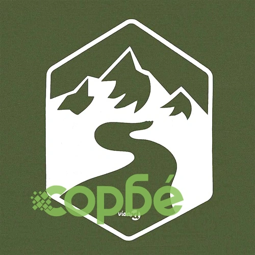 Шатра за градина 300 x 300 x 251 см, зелен текстил Оксфорд ➤ топ цена ➤ sorbe.bg