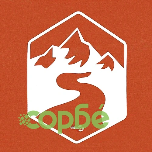 Шатра тип павилион 300 x 300 x 251 см, Oxford текстил, оранжева ➤ топ цена ➤ sorbe.bg