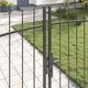 Двойна градинска порта WOERDEN с връх на копие, 300 x 200 см, стомана, сиво, с ключалка