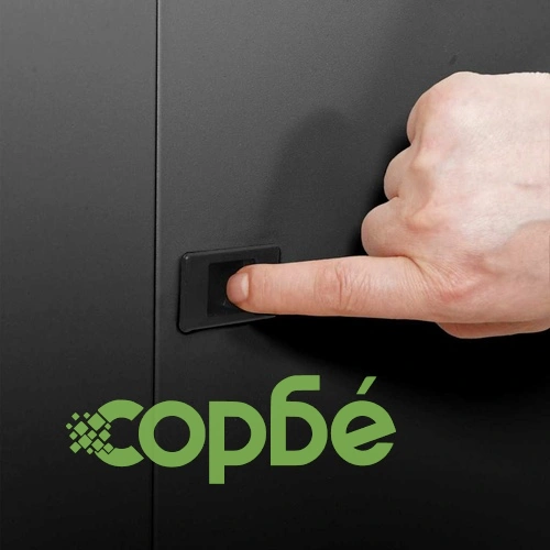 Мрежов шкаф 9U за стенен монтаж 19 IP20 53 x 60 x 45 см Черен Стомана ➤ топ цена ➤ sorbe.bg