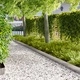 Градинска ограда за трева 20 бр. 103 x 15 см, Стомана, Сребрист цвят