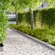 Ограда за трева 30 бр. 100 x 20 см, Стомана, Сребристо