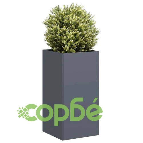 Кашпа от студеновалцувана стомана, антрацит, 40x40x80 см ➤ топ цена ➤ sorbe.bg