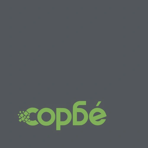 Ограда за трева, 10 бр., стомана, 100 x 0,5 x 30 см, антрацит ➤ топ цена ➤ sorbe.bg