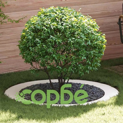 Комплект дървени пръстени 5 броя бели Ø90/120 см стомана ➤ топ цена ➤ sorbe.bg
